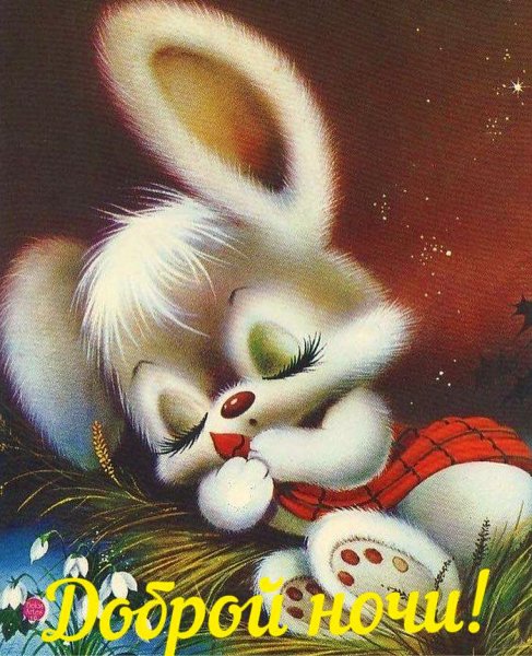 Спокойной ночи зайчик