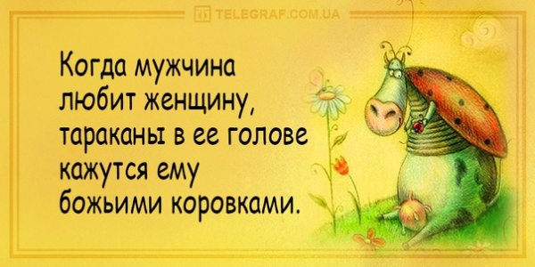 Прикольные картинки для поднятия настроения