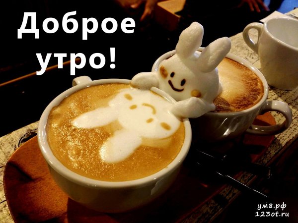 Веселое утро