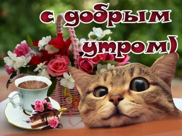 Открытки с добрым утром прикольные