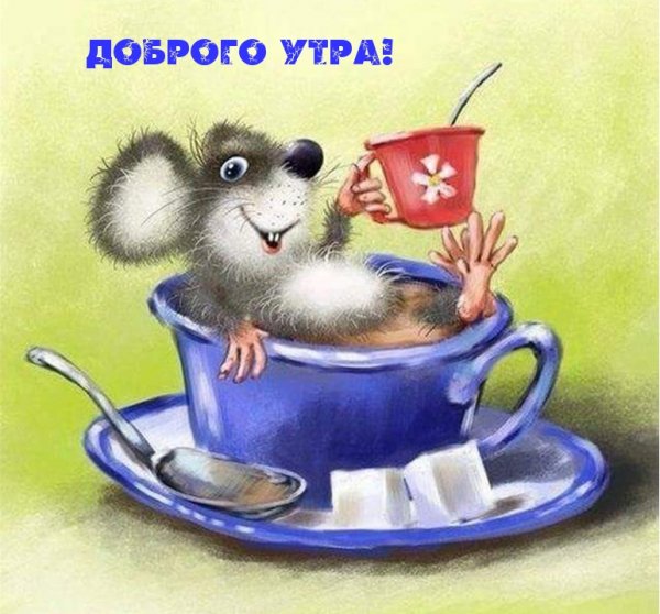 Открытки с добрым утром прикольные