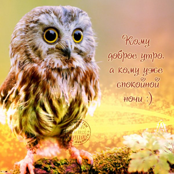 Кофе смешные