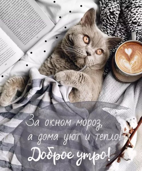 Пожелания доброго утра прикольные