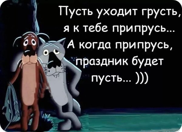 Прикольные цитаты для поднятия настроения