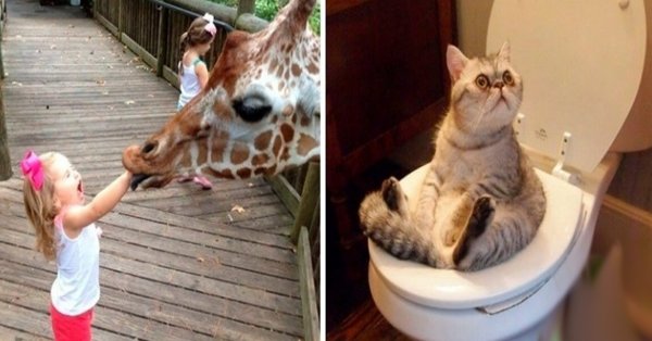 Смешной ролик для поднятия настроения