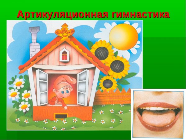 Домик для язычка