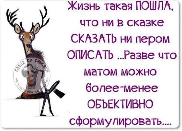Смешные цитаты со смыслом