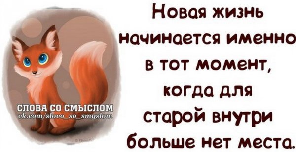 Смешные высказывания про жизнь со смыслом