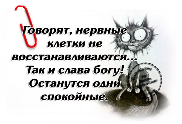 Цитаты смешные со смыслом короткие