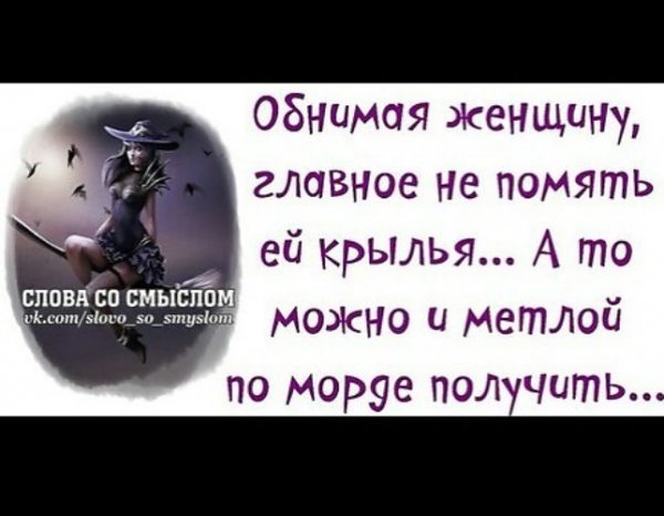 Смешные цитаты про жизнь со смыслом