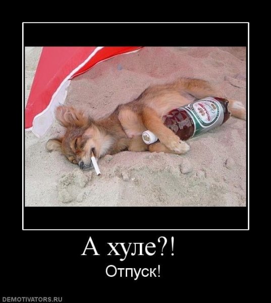 Первый день отпуска п Ри МКОЛ