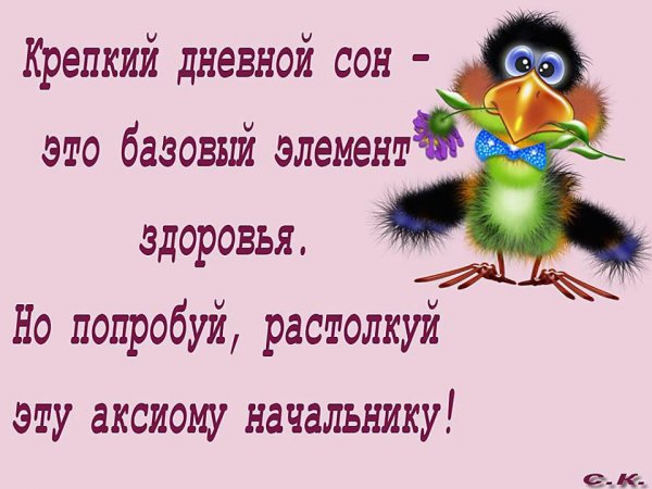 Открытка весело о разном