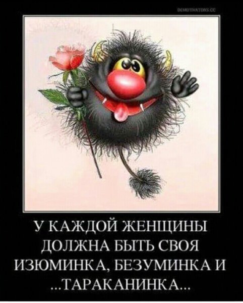 Прикольные картинки с надписями