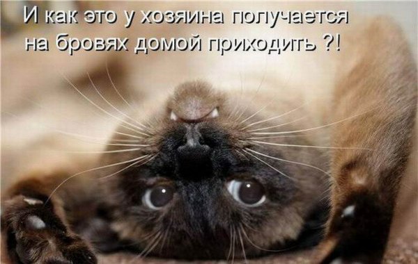 Муж приехал с рыбалки