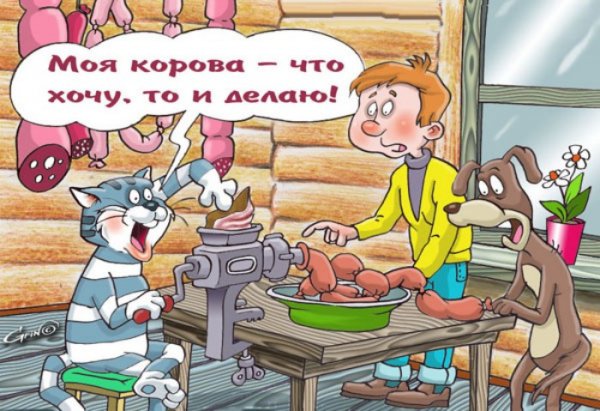 Прикольные высказывания на аватарку