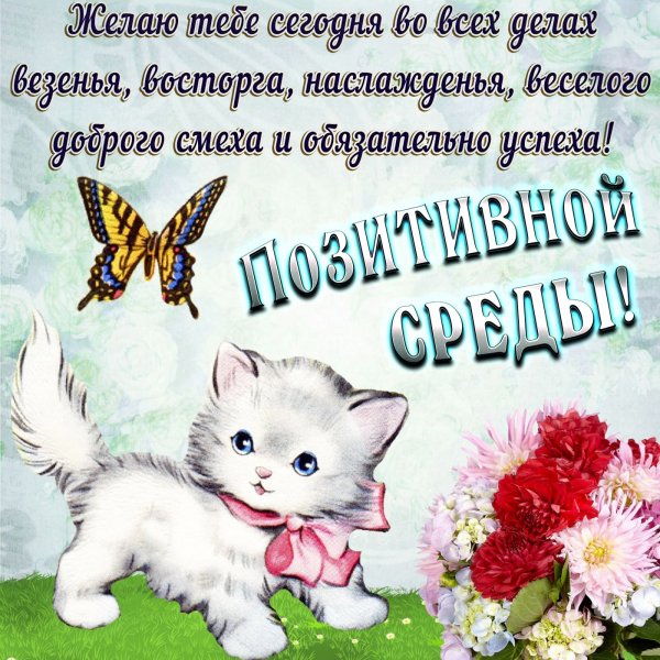 Поздравление со средой