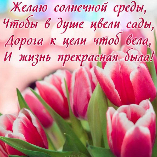 Прекрасной среды