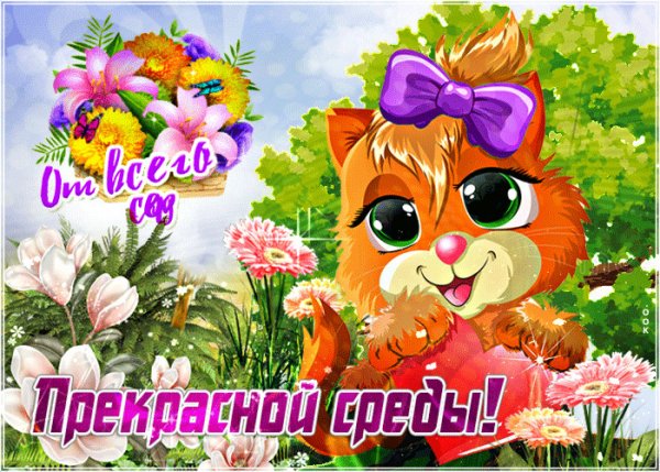 Хорошей среды