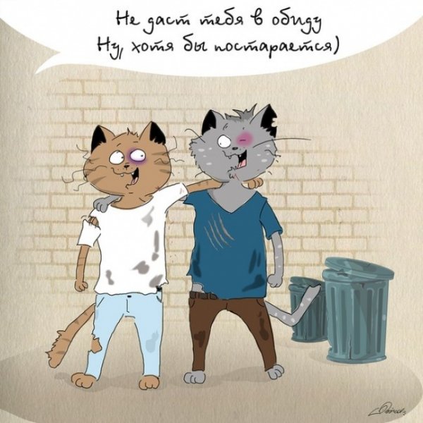 Кот лучший друг