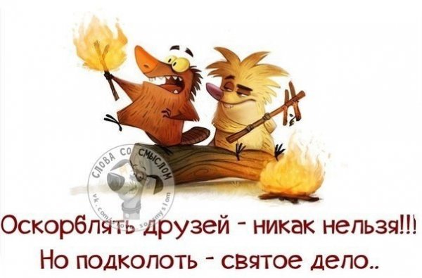 Смешные цитаты про друзей