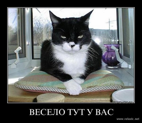 Весело тут у вас
