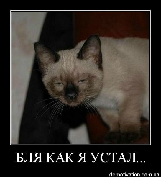 Весело тут у вас