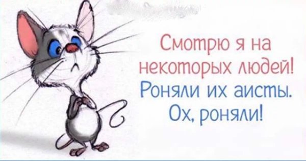 Прикольные фразы для поднятия настроения в картинках