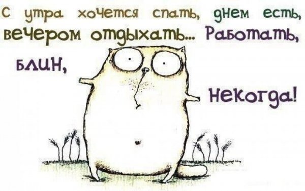 Веселые картинки про работу