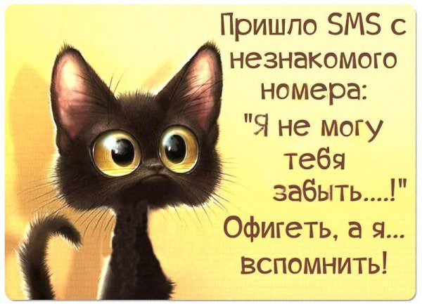 Смешные открытки для поднятия настроения