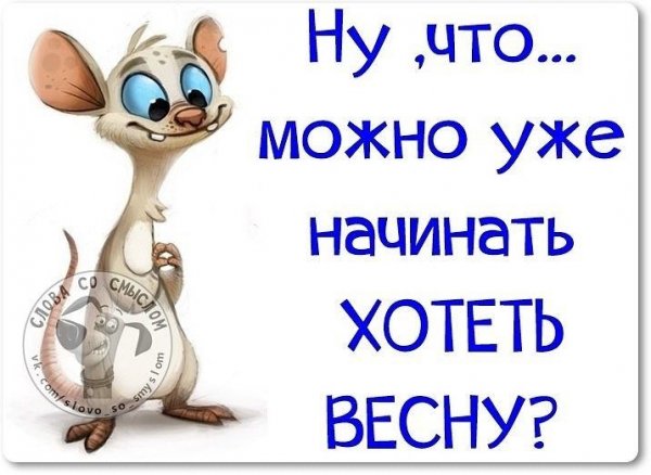 Позитивные статусы для поднятия настроения в картинках