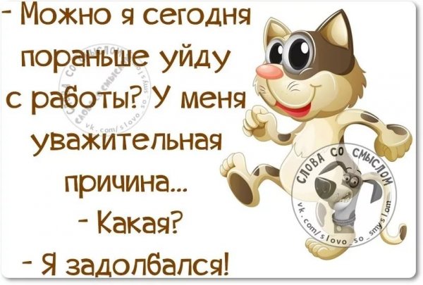 Цитаты со смыслом прикольные