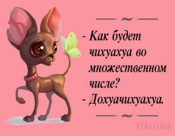 Открытки прикольные для поднятия настроения