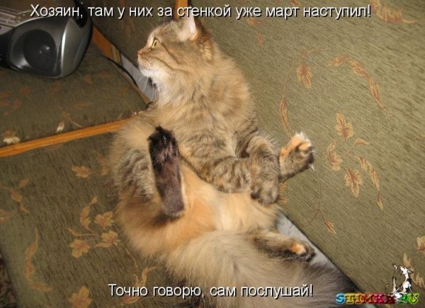 Позитив с животными с надписями