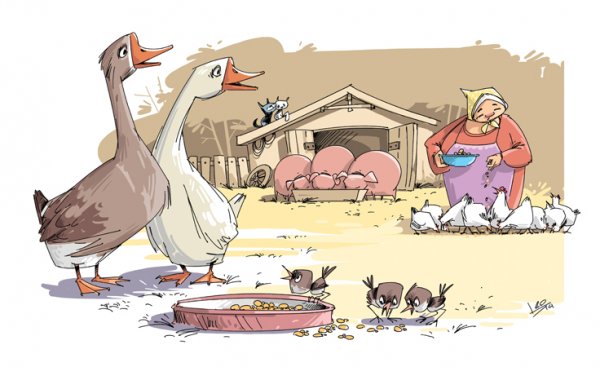 Гусь карикатура