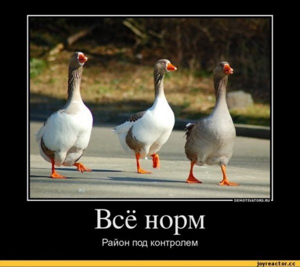 Смешной Гусь