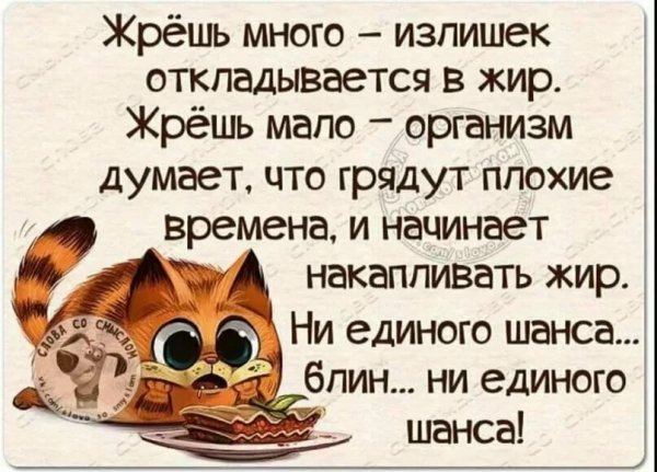 Смешные высказывания