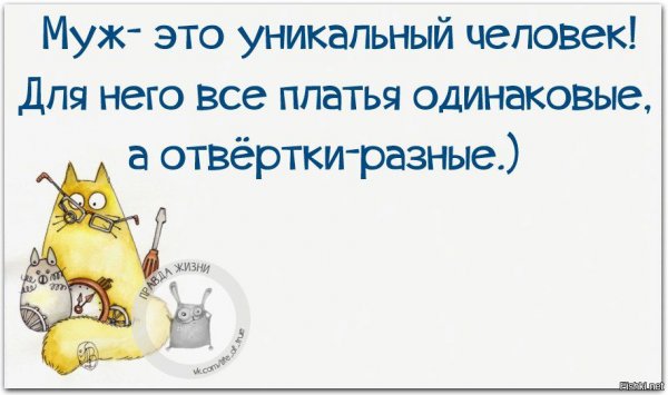 Смешные фразы про жизнь