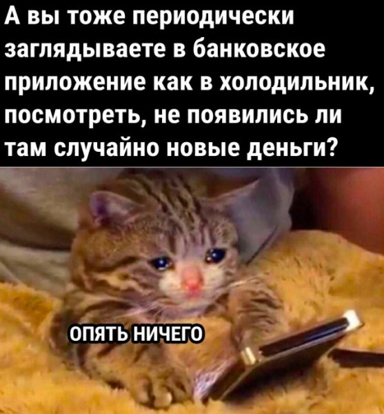 Прикольные картинки для группы