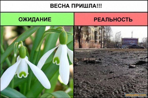 Весна пришла приколы