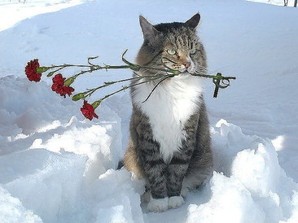 Весна уже пришла