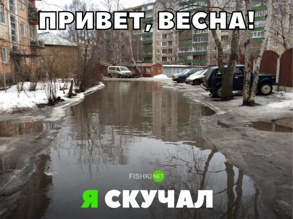 Весна пришла приколы