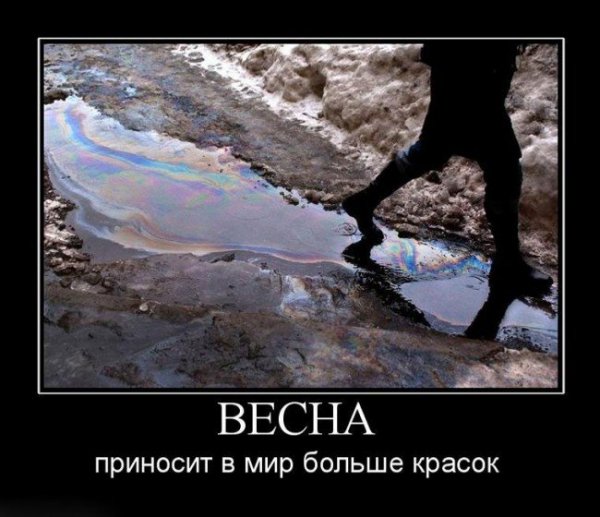 Приколы про весну