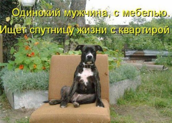 Юмор из жизни в картинках с надписями