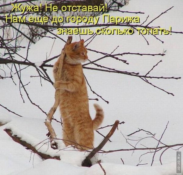 Приколы про зиму и весну