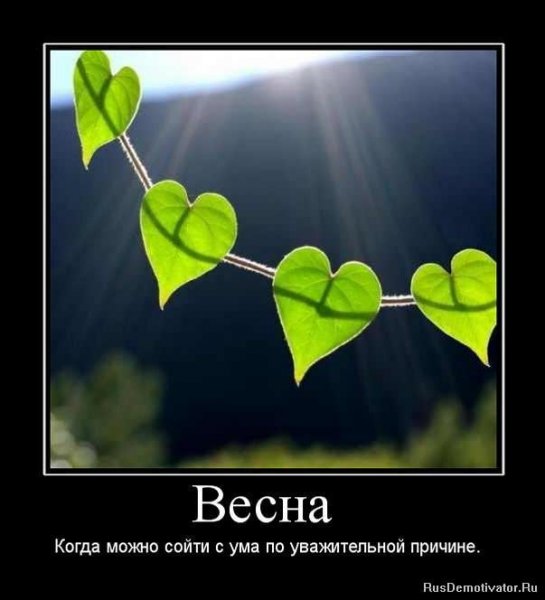 Весна юмор