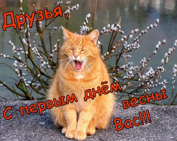 С первым днем весны прикольные