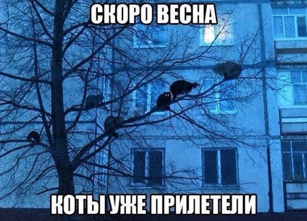 Весна юмор