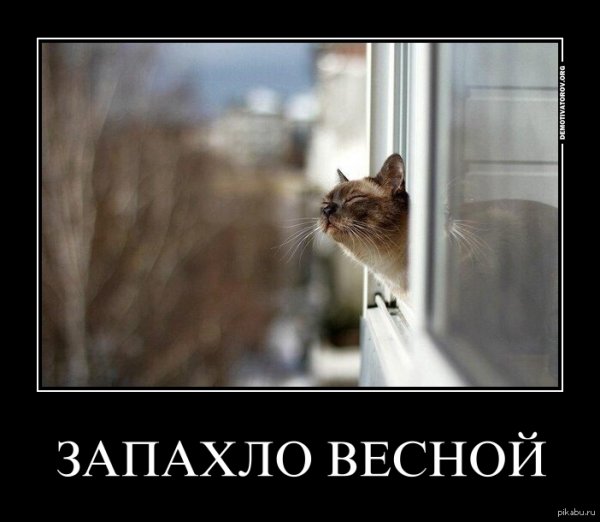 Скоро Весна смешно