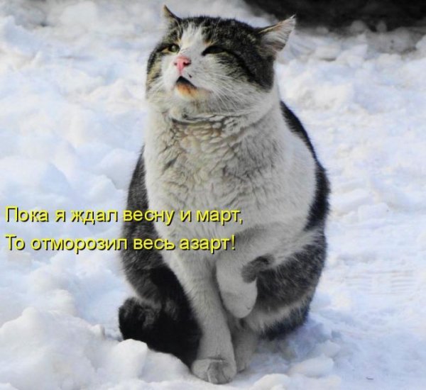 Шутки про зиму и весну