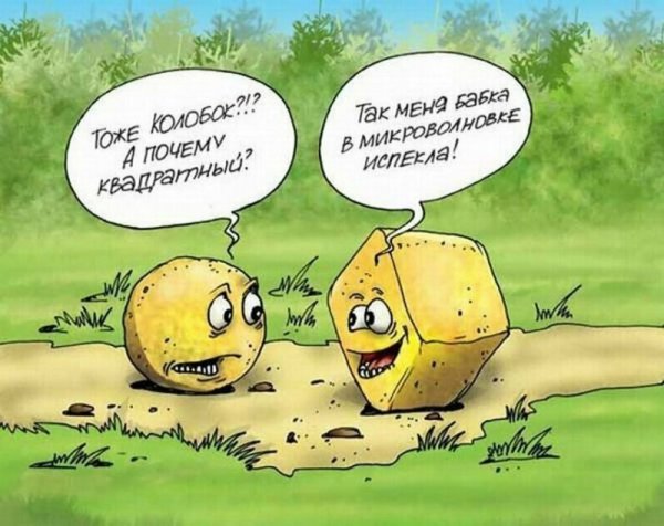 Шутки про колобка